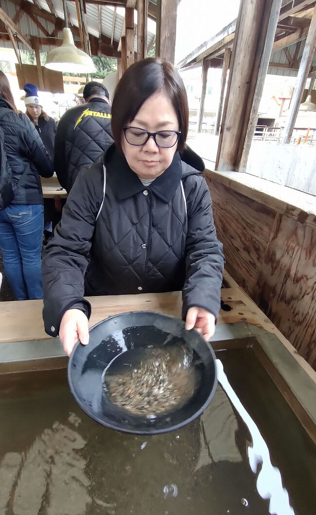 そこに水を入れてローリングさせていきます。そこから手順に沿って作業を進めていきます。ここから妻は無口になってしまいました。そう言えば昨夜もタラバガニを手に持ってからは話さなくなってしまいました。