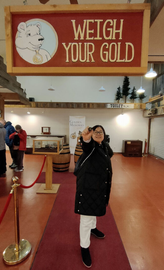 多分1つ1つに数粒の金が仕込まれているのでしょうが、楽しい砂金取り体験でした。冷たい水の中に手を入れてパンニング皿を振るっていると少しはゴールドラッシュの時代を知れたような気がしました。