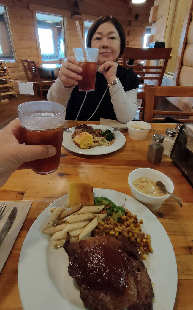 スパイシーなプルドポーク（pulled pork）は最高に美味しかったです。細かくほぐすと何とも言えず、ビールが欲しいところです。