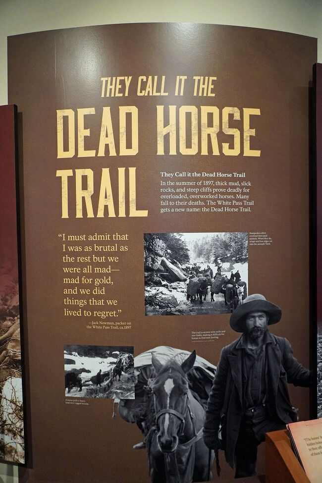 ホワイト・パス・トレイルは人間以上に馬にとっても過酷だったようで、「デッドホース・トレイル」とも呼ばれました。