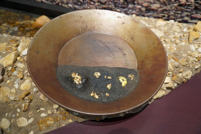 先ほど実体験してきたパンニング皿にナゲットがたくさん入っています。こんなことは稀にでもあったのでしょうか。