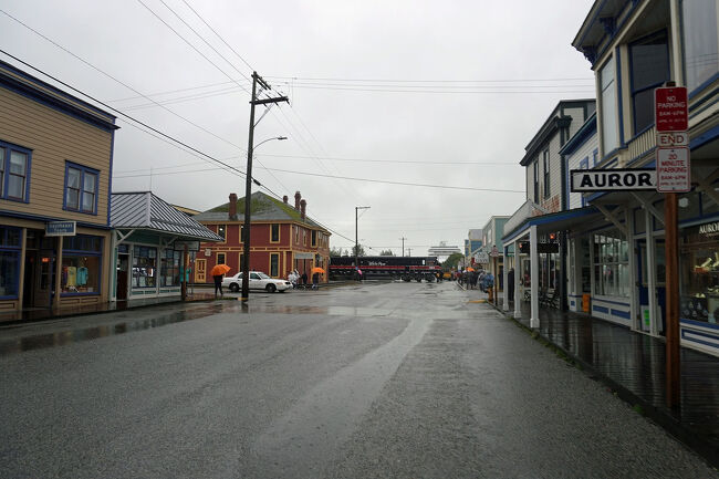 警笛の音に通りを振り返ると線路の上を機関車が通過していました。