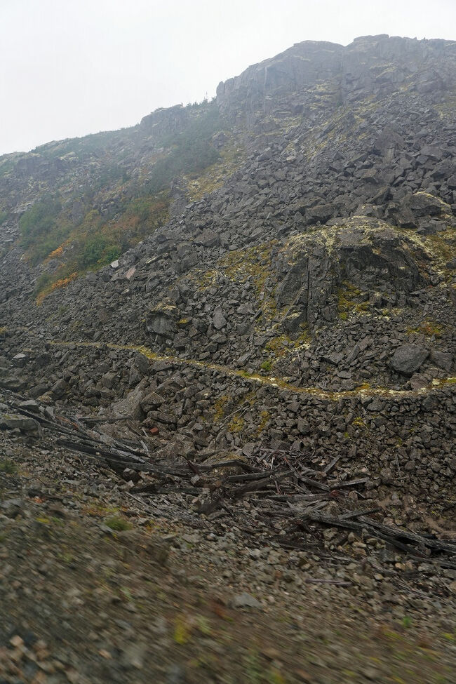 線路の脇にはゴールドラッシュの頃の道筋が残されていました。