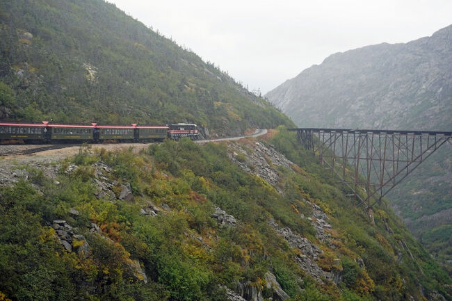 カナダの当局は探鉱者に対して膨大な量の装備品を準備して入境することを求めたので、入境許可が得られるまで何度も峠を上り下りして装備品を運び上げる必要がありました。ホワイト・パスで使われていた荷役の馬やロバやチルクート峠で使われていた荷物運び人夫よりも効率のよい交通手段が求められていきます。