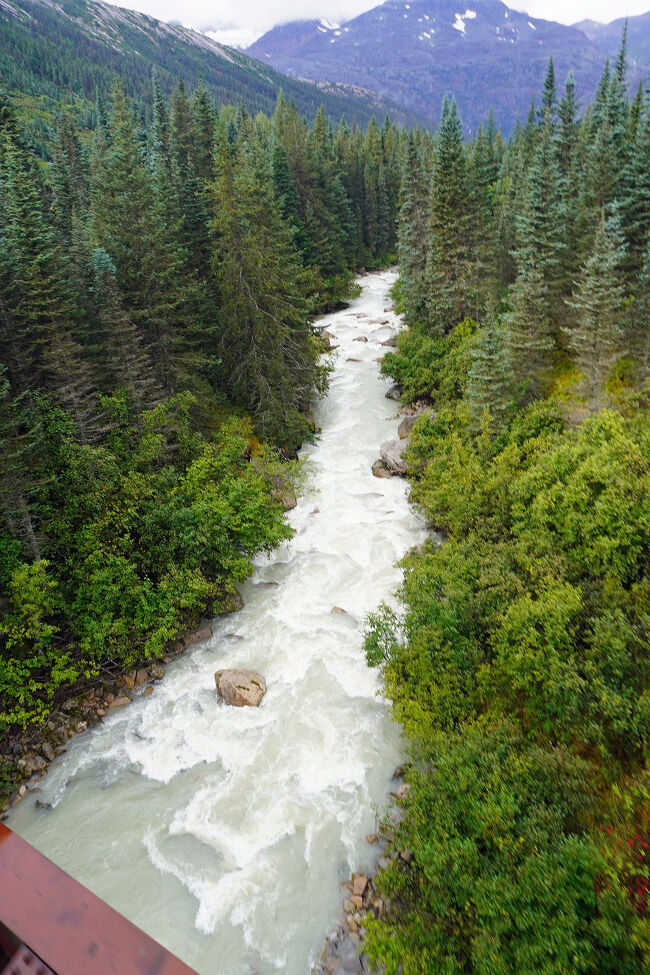 クマの1党でも見えないかなと思いますが、野生動物の姿はありませんでした。