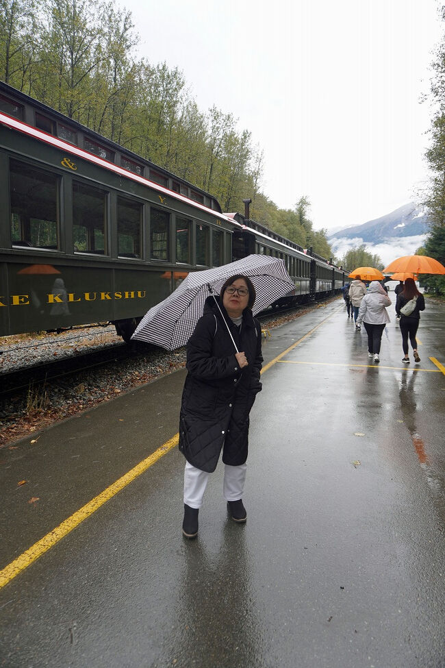 列車は駅まで行くことは無く車両基地の脇で乗客を降ろしました。