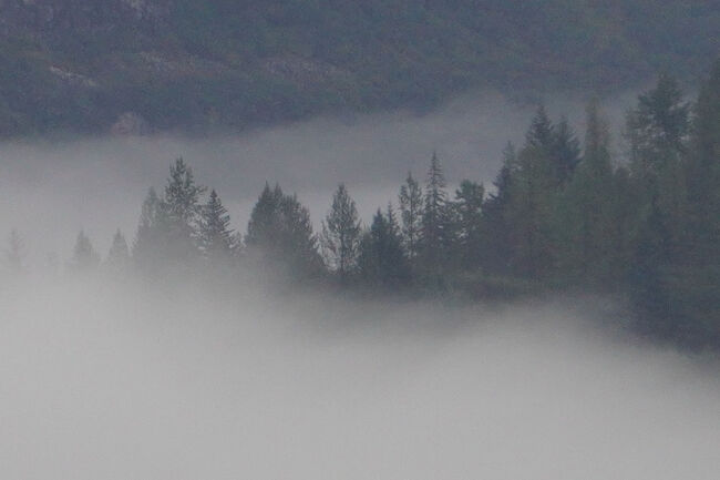 周囲は緑が色濃く、そこに立ち込める霧が幻想的な風景を見せてくれます。