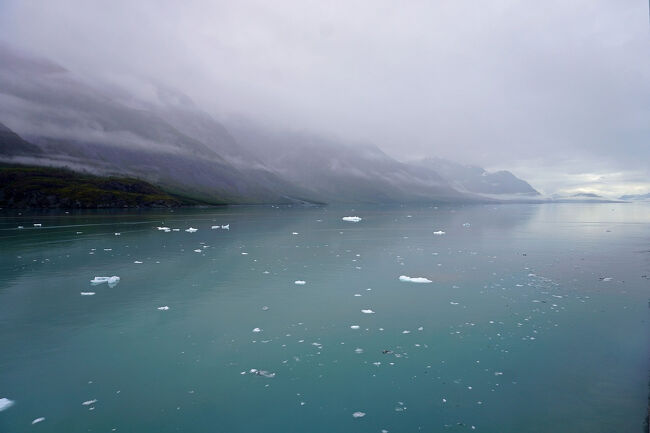 船は180度旋回して次の入り江に向かいます。