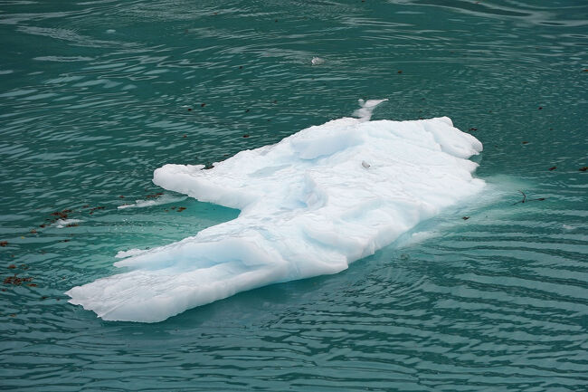 氷河の破片でも海面よりも水中の方が大きいということが分かります。