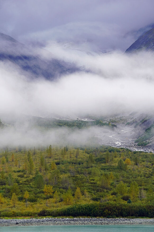 この辺りの森も氷河が後退した1750年以降のせいぜい百数十年に出来たものだと思うと自然の力強さも感じます。