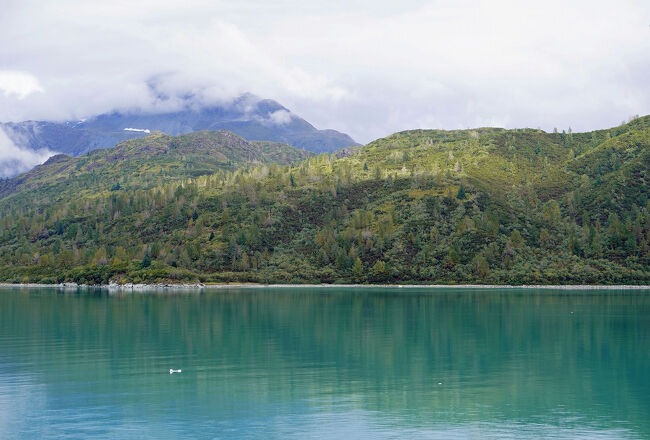 午後になって天気は回復してきて、アラスカとは思えない緑の多い穏やかな景色が他のしえっます。