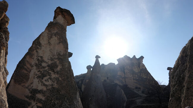 見上げて、<br />