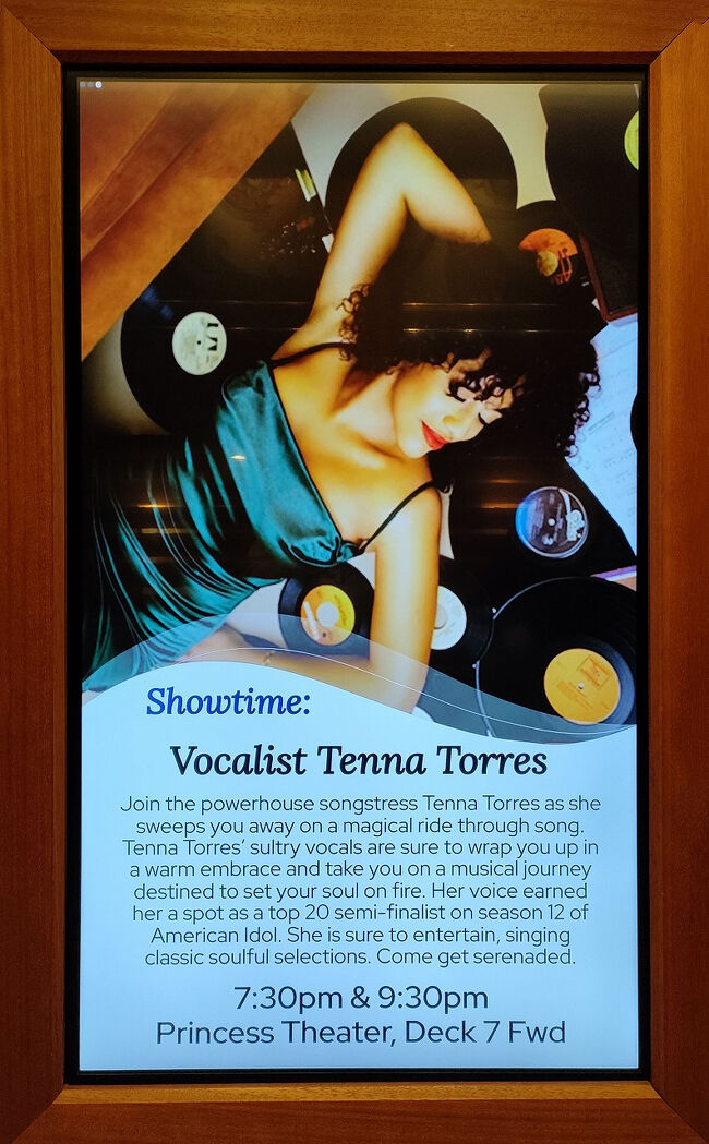 食事の後はティナ・トーレスという歌手のショーを観に行きました。