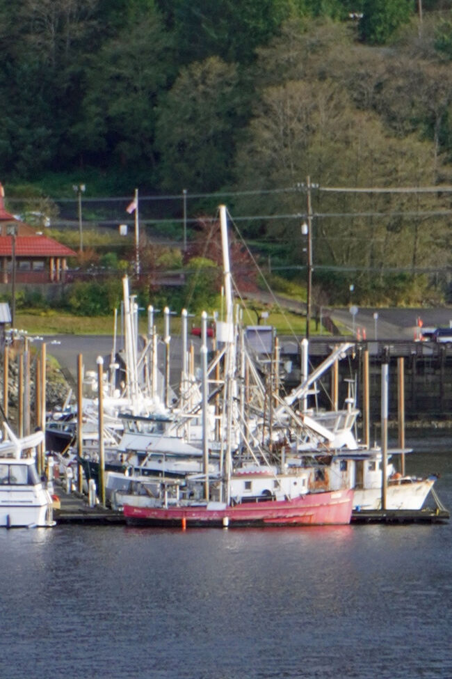 かなり小型の漁船が係留されています。「ケチカン」は世界的に有名なサーモン漁業基地で「世界のサーモンの首都」と呼ばれているそうです。