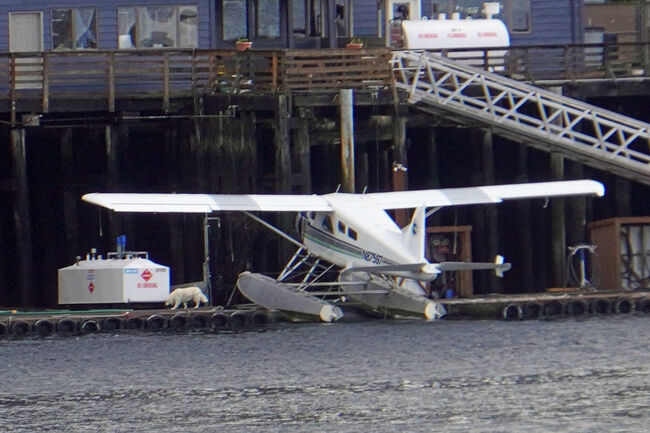 5月にイギリスを旅した際にも航空博物館で展示されている機体を見る機会がありました。フロートをつけた機体がカッコよかったことを思い出します。