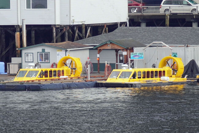 始めは沈没した黄色い船かと思いましたが「Hovercraft Eco Adventure &amp; Wildlife Viewing」という会社のホバークラフトでした。これにもいつか乗ってみたい乗り物です。