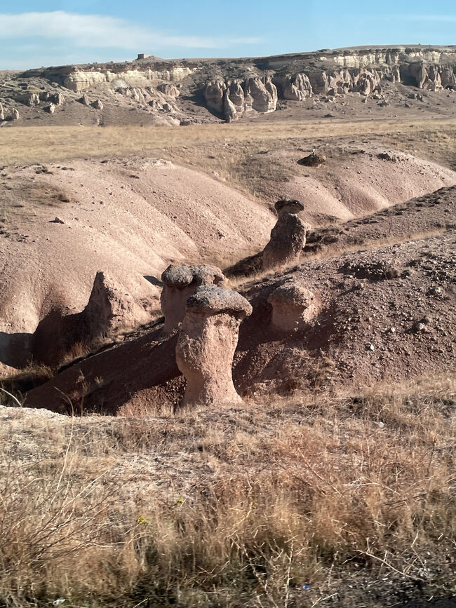 移動するバス車窓から、<br />至る所にキノコ状の奇岩が<br />