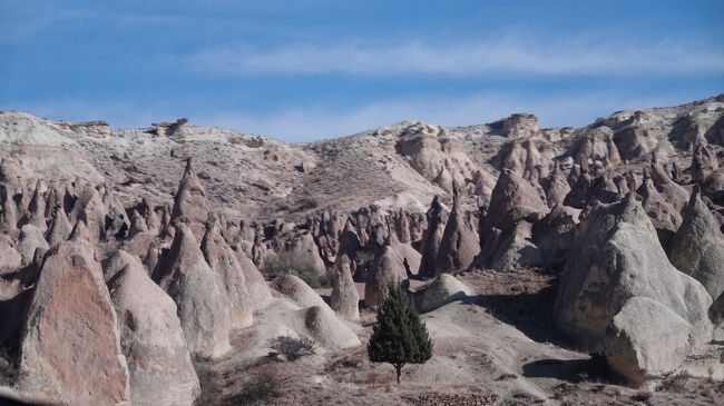 同じくバス車窓から、<br />あそこでもここでも…、と言うような感じの奇岩群<br />