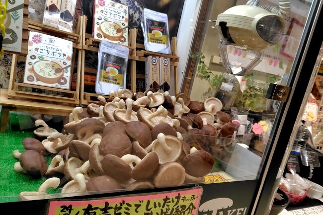 少し中を覗いたら、入口に「しいたけキャッチャー」なるモノがありました。しいたけグッズが、やたらとリアル。。