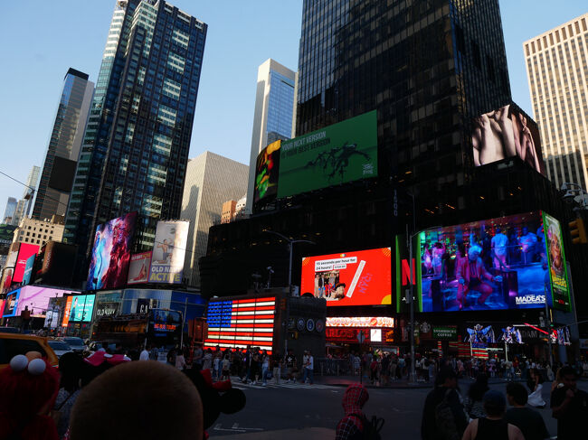 Google先生によると目的地のロックフェラーセンタービルまでは徒歩で20分位だったんだけどとにかく人が多いので普通に道が歩けない。<br />