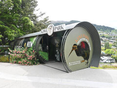 【Kiwi Park】10:50

帰りのゴンドラはオーストラリアから旅行にきている女性の御一行様と一緒になり、いろいろ話しかけていただき、日本の話、オーストラリアの話で会話が弾みました。オーストラリアでは住んでいるエリアもバラバラだそうです。

11:00のKiwi見学(KIWI ENCOUNTERS)に合わせて降りてきました。

入場券を購入すると11:00のチケットをくれ、パークの一番奥にあるKIWI HOUSEに向かいます。
キウイは夜行性で暗いところにいるので撮影は禁止です。
暗い中に入り目が慣れるのを待って中にいるキウイを探します。
運よく、人間側にきて一生懸命くちばしでエサを探していたので、ゆっくりとみることができました。