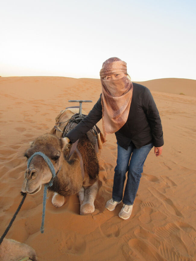 さっきと同じ子に乗せてもらいます。乗り降りするときに前後に大きく揺れるのでがっくんがっくんとなります。