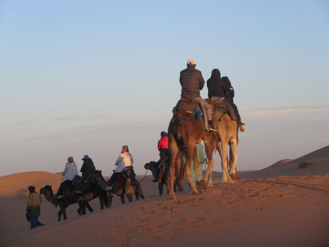 だんだん余裕が出てきて、写真が撮れました。