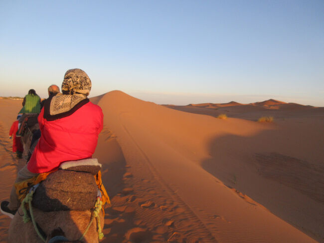 静かです。たまにラクダさんの鼻息が聞こえます。私の乗ったラクダさんがくしゃみをして鼻水がついた鼻で前にいる夫のズボンに鼻水がつきそうでひやひやしました。