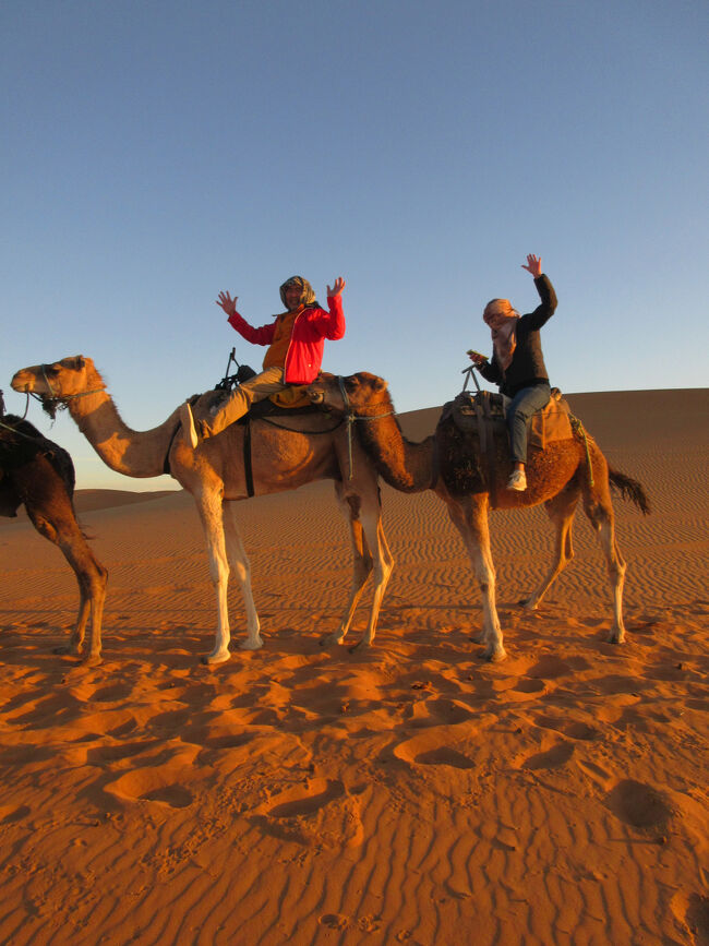 結構高いでしょ。私の乗っているラクダさん少し小さい子なので余計にかどうかわからんが、夫のラクダさんにくっつくのです。鼻水つけないでよー。