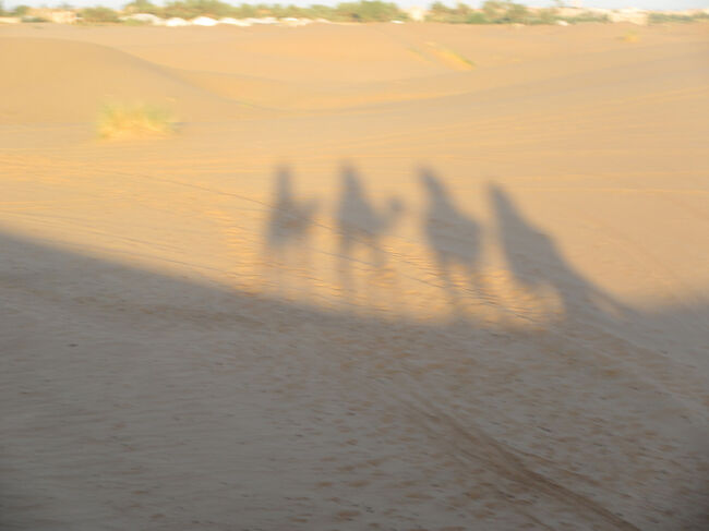 揺れるのでなかなかうまく取れませんが。