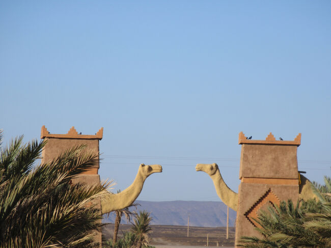 この向こうにサハラ砂漠がひろがっています。