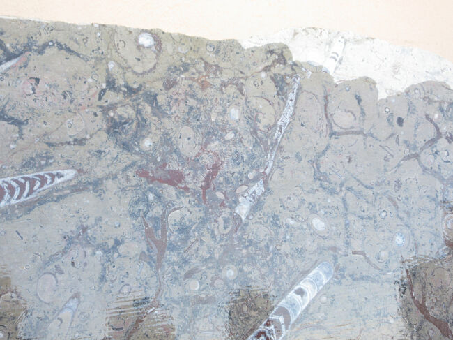 トイレストップはきれいなトイレのあるところを選んでくれています。