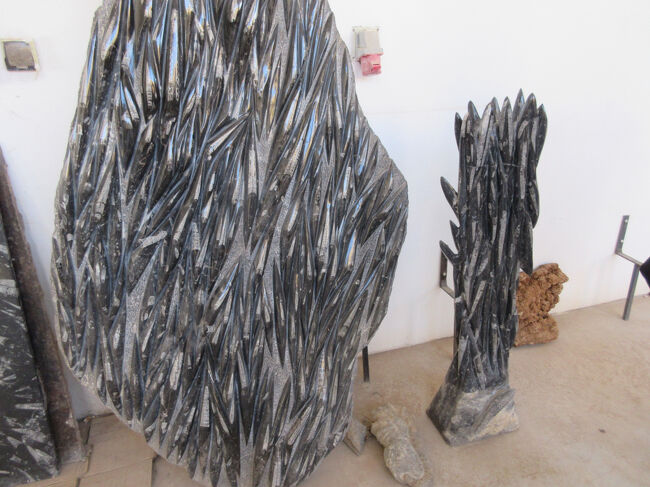 これ、化石?石を寄せたものみたいでした。