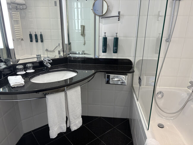 洗面所とお風呂です。バスタブ付きの部屋でした。部屋は格式がある雰囲気ですが、設備がやや古くお湯の温度の調節が難しかったです。