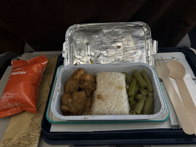 機内食も出ます。<br />チキンのちょいカレー風味。それほど辛くはなく、それなりおいしかったです。<br />ただ、アイスの棒のような木製の食器が使いづらい。スプーンはともかく、フォークは全く使えません（刺さりません）