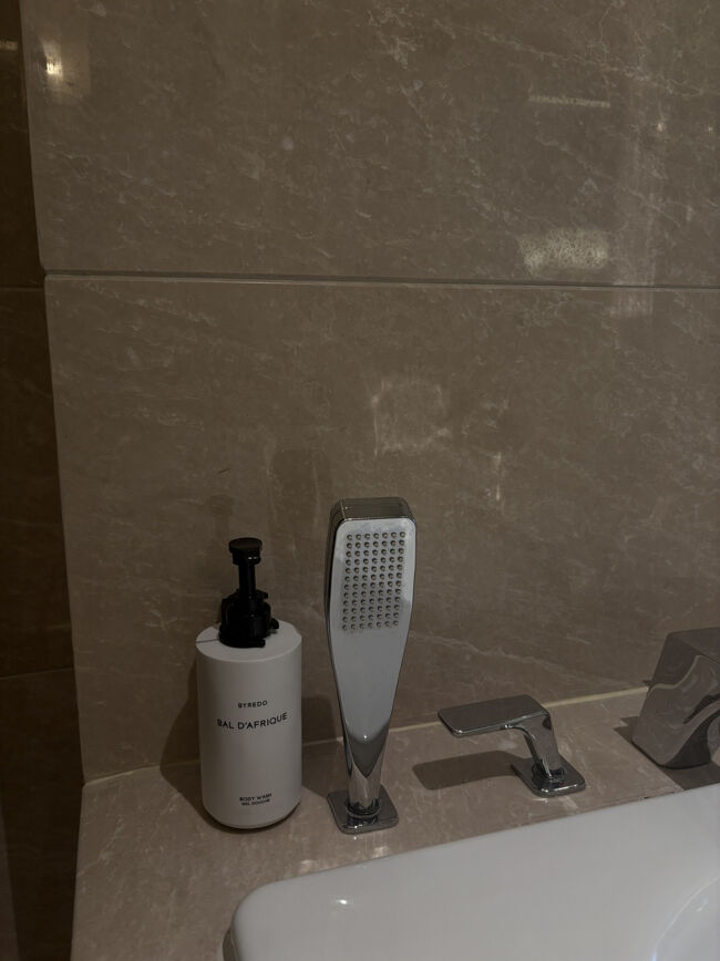 そういえばバスタブに浸かっていなかった。<br />大きなバスタブに浸かって、、旅のいろいろ思い出しながらのーんびり。<br /><br />21時頃就寝。<br />明日は、、03：10にホテル出発！