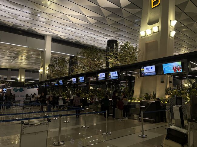 フライトが06:10出発なので、ホテルから提案されたホテル出発時間が03:10<br />でした。<br />夜中なので道はがらあき。30分で空港到着。<br /><br />NH836　<br />06:10　CGKジャカルタ　ターミナル 3<br />15:45　NRT東京(成田)　ターミナル 1<br />