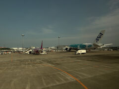 成田空港着。ほぼ予定どおり。
ホヌがいました。

入国審査で、自動ゲートに向かっていたら、
向こうから「Ma'am！ma'am!!　That 's for Japanese・・」との掛け声が。。
えーと、ワタクシですかー^^;; 
日本国パスポートを印籠のように提示させていただきました♪
(大丈夫です。よく間違われます）