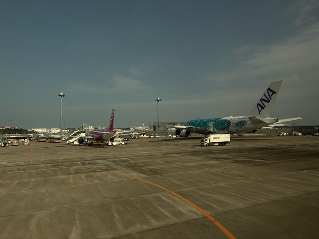 成田空港着。ほぼ予定どおり。<br />ホヌがいました。<br /><br />入国審査で、自動ゲートに向かっていたら、<br />向こうから「Ma'am！ma'am!!　That 's for Japanese・・」との掛け声が。。<br />えーと、ワタクシですかー^^;; <br />日本国パスポートを印籠のように提示させていただきました♪<br />(大丈夫です。よく間違われます）