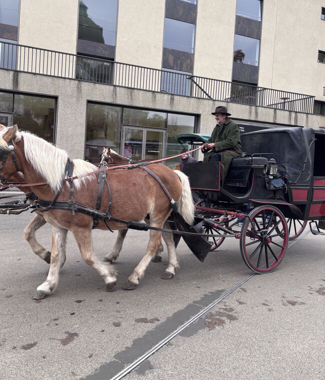 観光馬車に乗って旧市街を見学します。