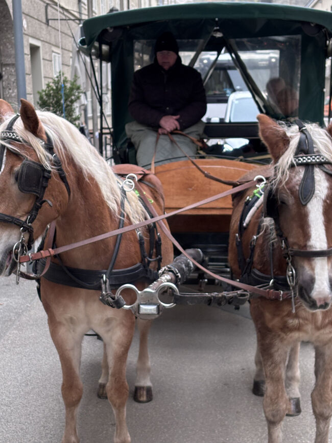 ウマさんもしっかり仕事中。
