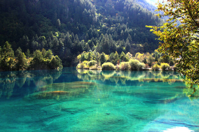 ★秋の九寨溝絶景紀行（６）～【樹正溝】→樹正群海：火花海<br /><br />前回の旅行記（５）から引き続き、<br />樹正群海にある火花海をご覧いただきます。<br />またまた火花海の写真かいな？と、<br />突っ込まれそうですが、<br />それだけ火花海に感動したと言う証しです。