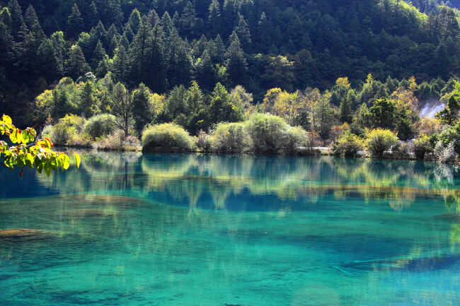 ★秋の九寨溝絶景紀行（６）～【樹正溝】→樹正群海：火花海<br /><br />火花海は８年前（2017年）にM7の九塞溝地震で<br />決壊し暫くの間、完全に干上がってしまいました。<br />復興工事が終わるまで観覧中止になり<br />2021年9月28日にようやく火花海を含め<br />九塞溝の復興がほぼ終わ<br />景勝地の全エリアが一般公開が再開されるようになりました。<br />