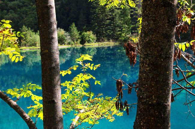 ★秋の九寨溝絶景紀行（６）～【樹正溝】→樹正群海：火花海