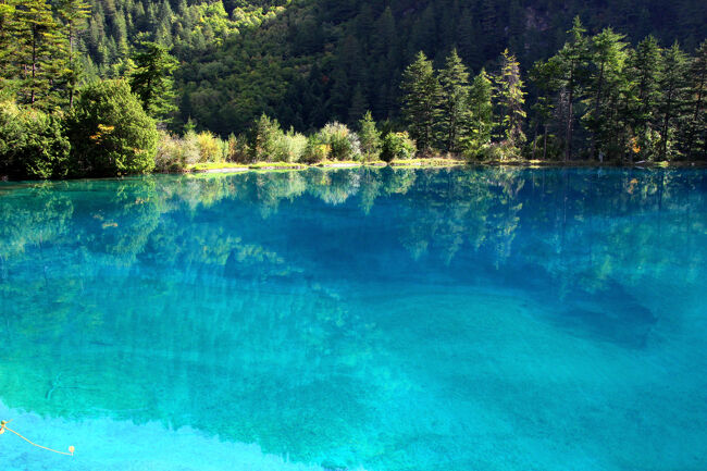 ★秋の九寨溝絶景紀行（６）～【樹正溝】→樹正群海：火花海<br /><br />政治がらみの日中関係もようやく落ち着き、<br />コロナ渦がほぼ終息した2024年11月からは<br />ビザ免除が再開されたので、行くなら今しかないと思い<br />今年２月のリペ島から帰国後に迷いなくツアーの参加予約しました。