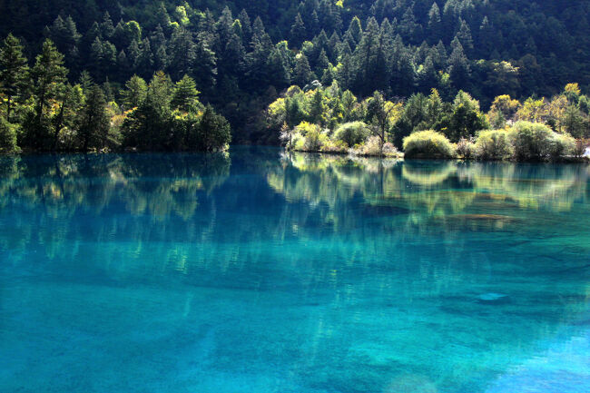 ★秋の九寨溝絶景紀行（６）～【樹正溝】→樹正群海：火花海