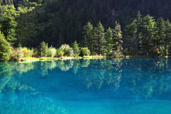 ★秋の九寨溝絶景紀行（６）～【樹正溝】→樹正群海：火花海<br /><br />それがどうしたでしょう、2024年11月にビザ免除が再開され<br />ようやく日中関係が安定したかと思った矢先の<br />2025年11月7日に台湾有事発言問題が勃発し、<br />また元の木阿弥状態になってしまいました。