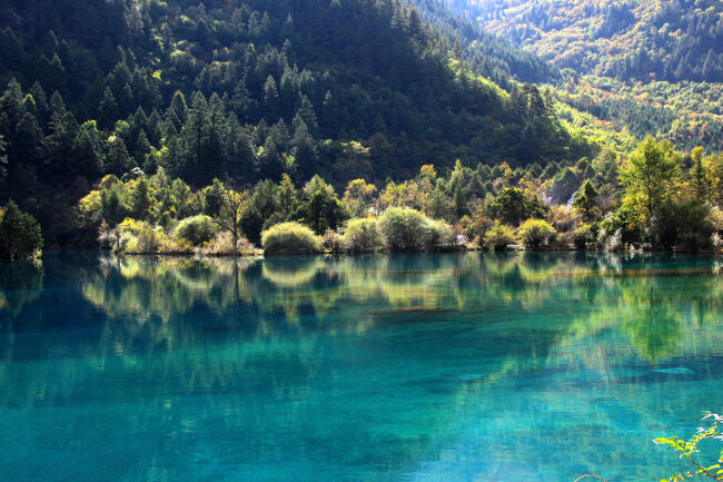 ★秋の九寨溝絶景紀行（６）～【樹正溝】→樹正群海：火花海<br /><br />※元の木阿弥<br />戦国時代の筒井順昭の身代わり説<br />筒井順昭が病死した際、幼い息子・順慶が成人するまで死を隠すため、<br />声の似た盲目の「木阿弥」という人物を身代わりにしたとされています。<br />順慶が成人して順昭の死が公表されると、<br />木阿弥は元の身分に戻されたことから、<br />この言葉が生まれたと言う説があるそうです。