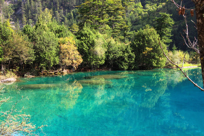 ★秋の九寨溝絶景紀行（６）～【樹正溝】→樹正群海：火花海
