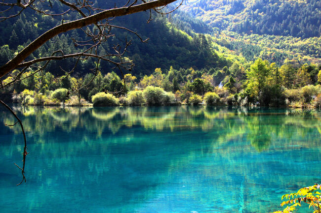 ★秋の九寨溝絶景紀行（６）～【樹正溝】→樹正群海：火花海<br /><br />日中関係が悪化したからと言って<br />この絶景に変化が起こるわけでも無く<br />しばらくの間は日本人観光客が減るだけなので<br />また日中関係が良好になってから<br />訪れても遅くはないでしょう。